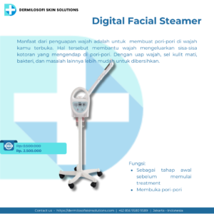 Digital Facial Steamer