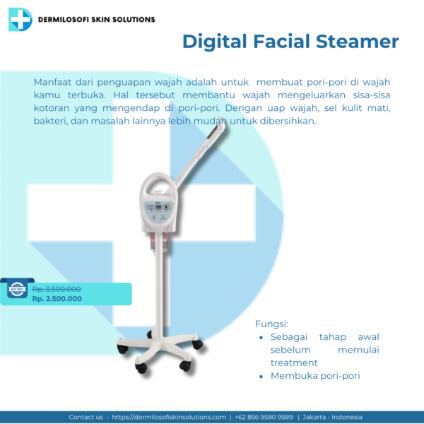 Digital Facial Steamer